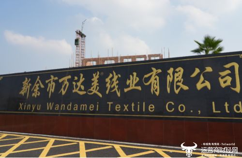科技賦能，智慧共贏 這家運營商以創新服務樹立政企合作新范本