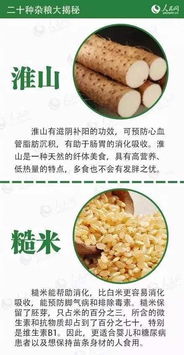二十種雜糧大揭秘，受用一生的健康寶典
